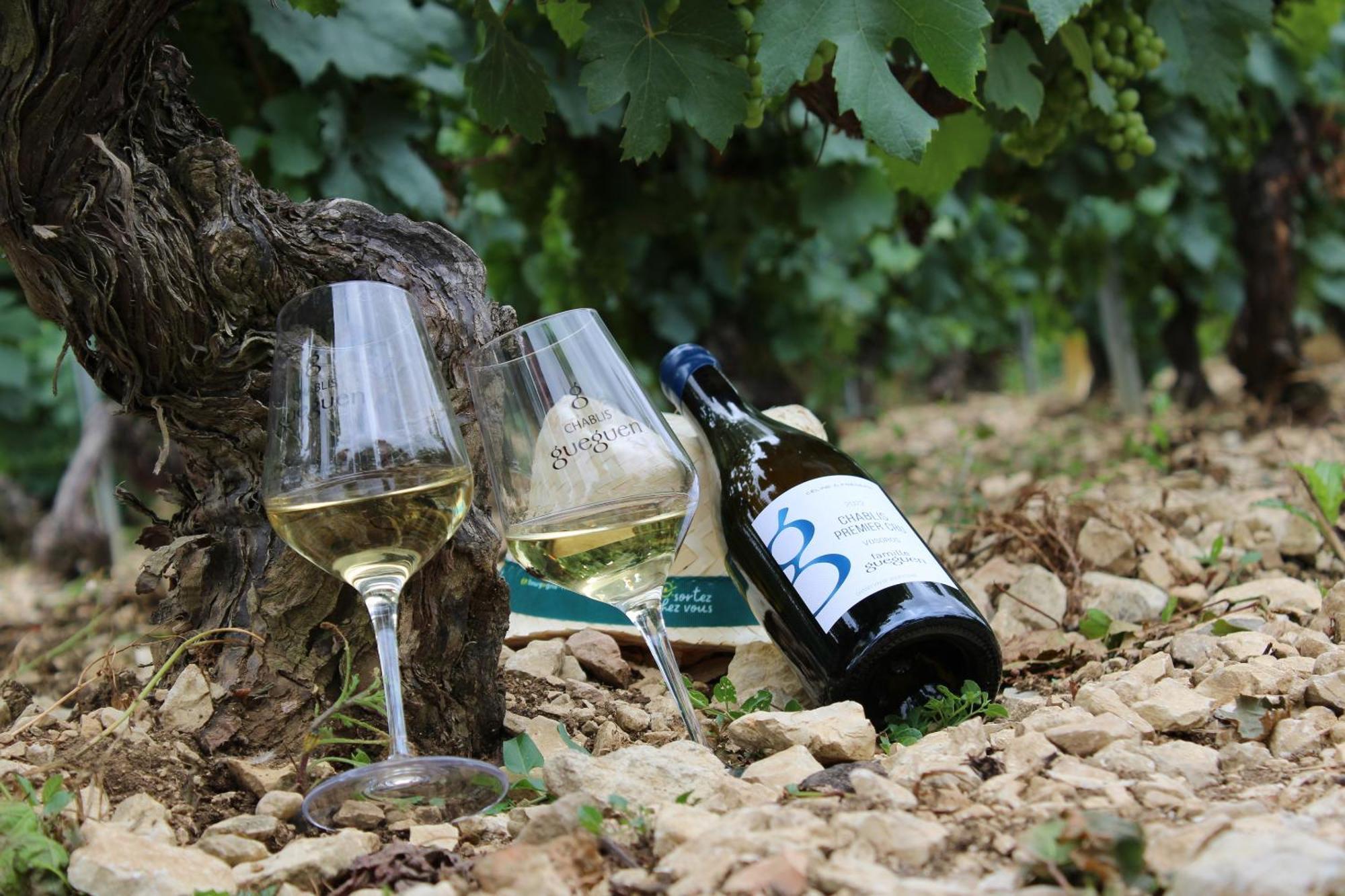 Les Suites Gueguen Chablis Kültér fotó