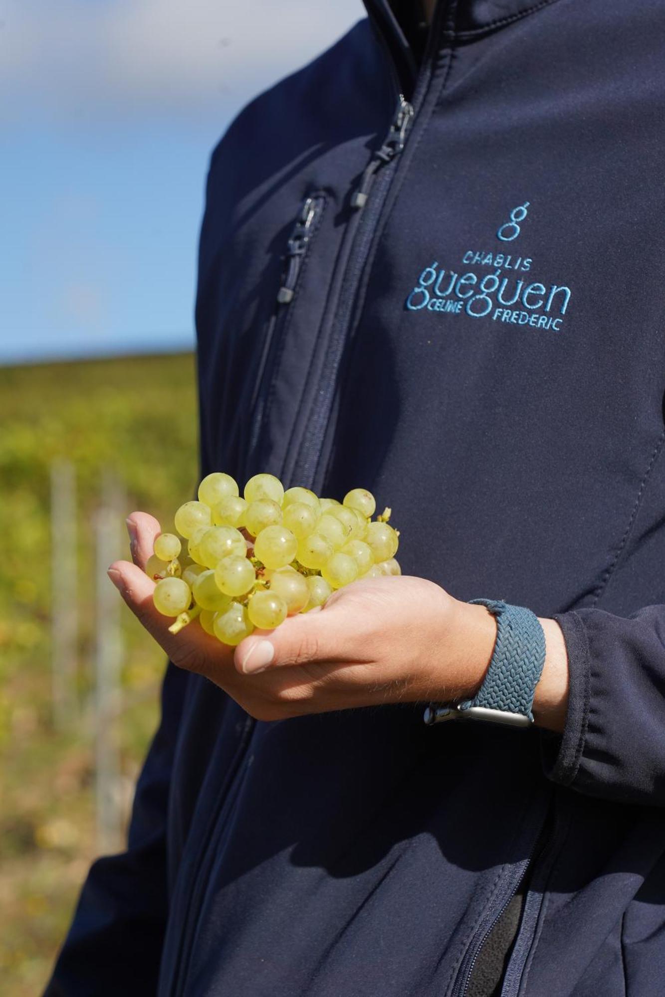 Les Suites Gueguen Chablis Kültér fotó